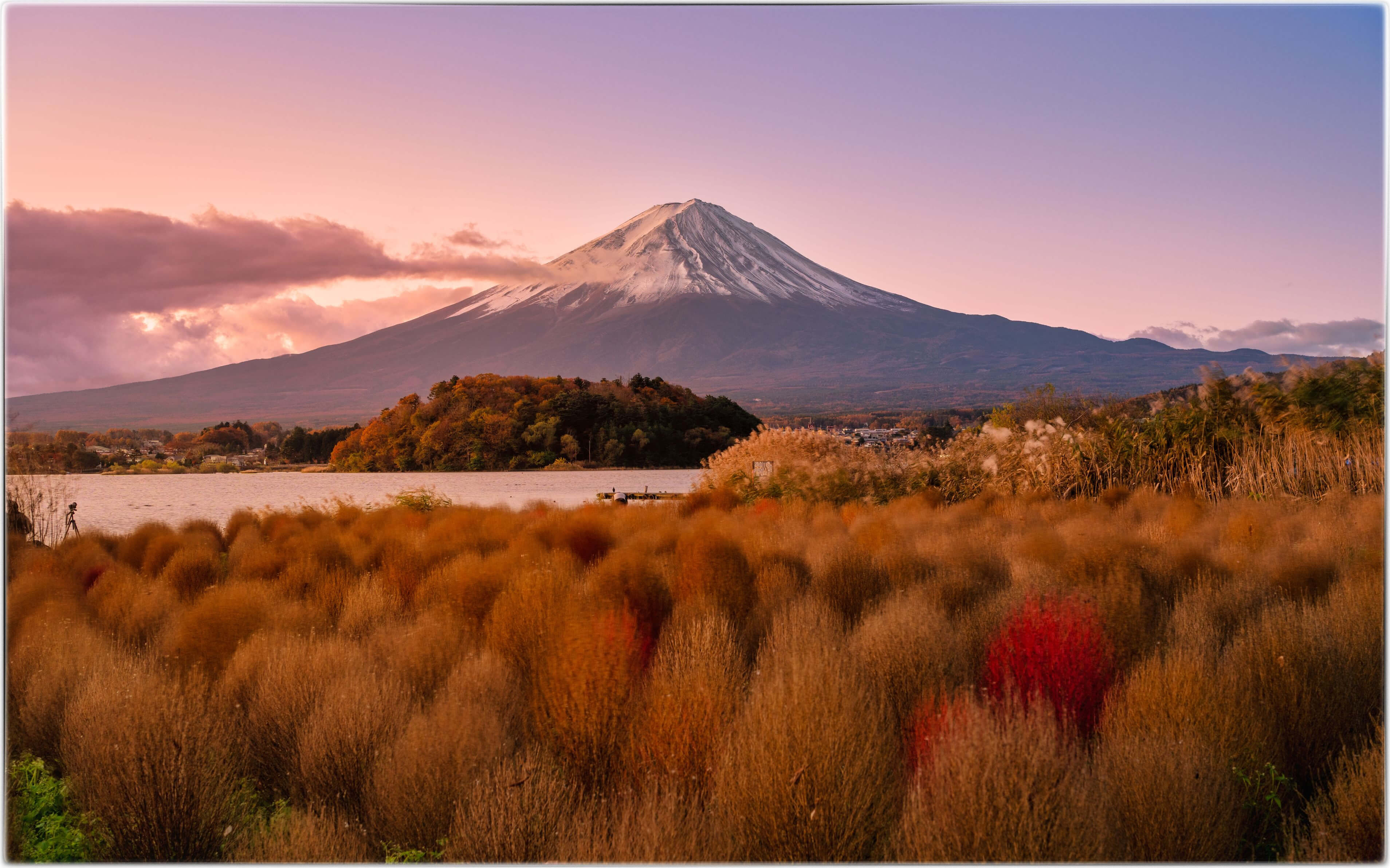 『紅一点』sonyjanoさん