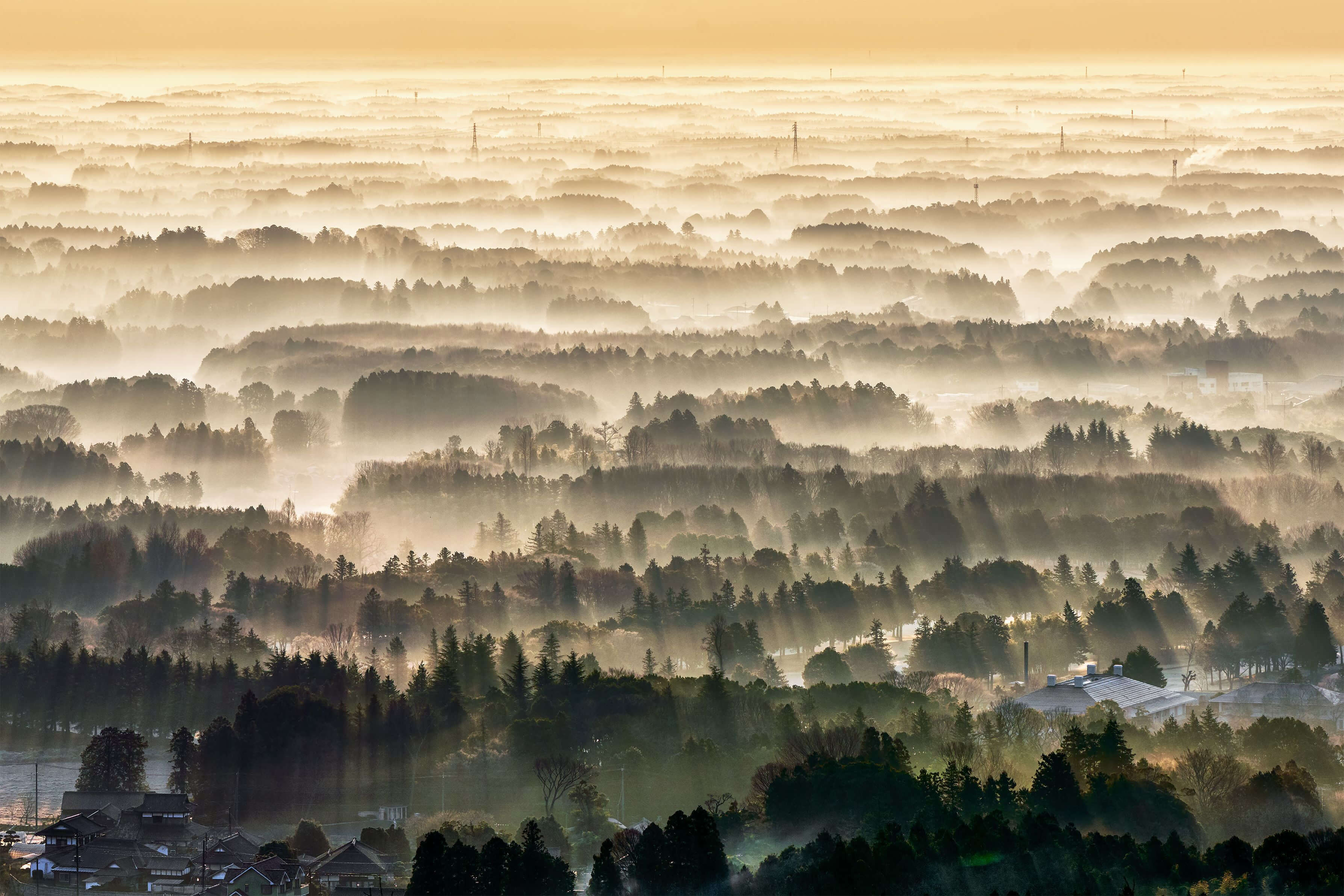 『朝光夢幻』望遠魚眼さん