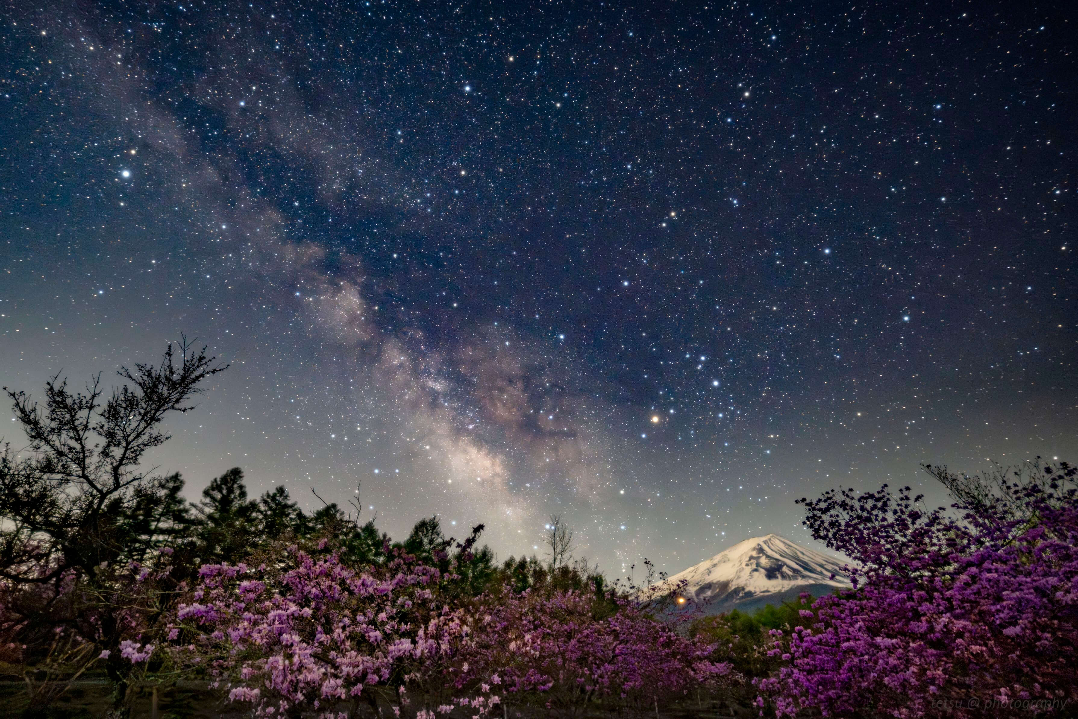 『つつじ彩る星空』Tetsuさん