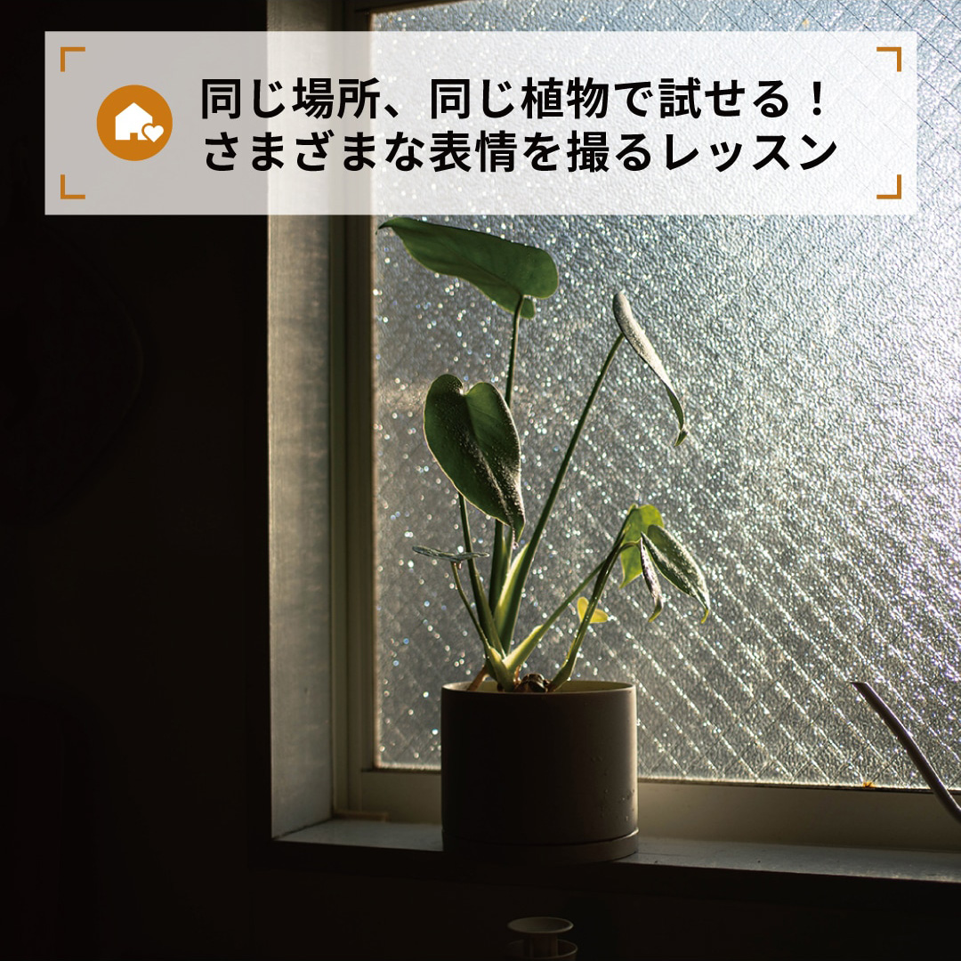 同じ場所、同じ植物で試せる！さまざまな表情を撮るレッスン