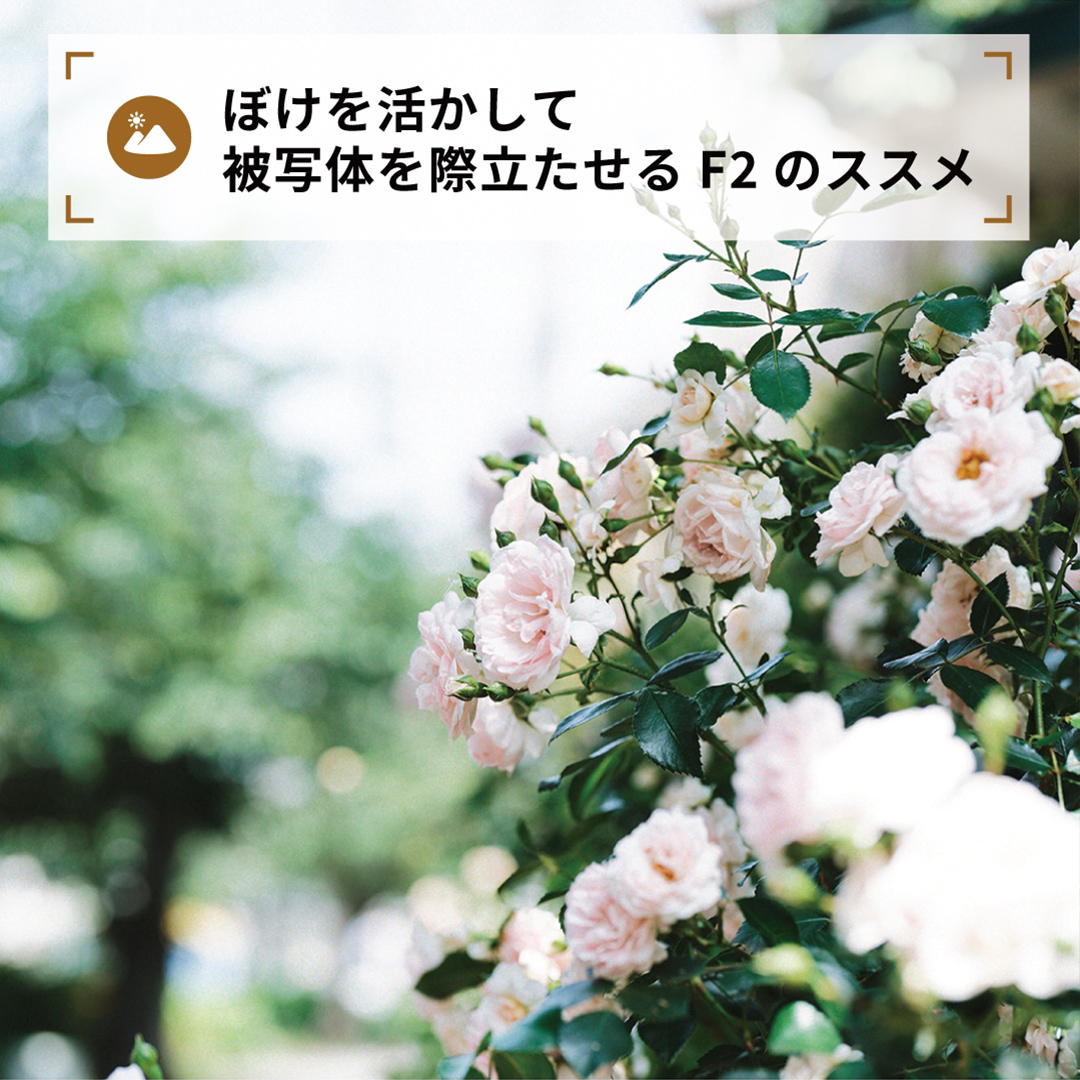 ぼけを活かして被写体を際立せる
F2のススメ