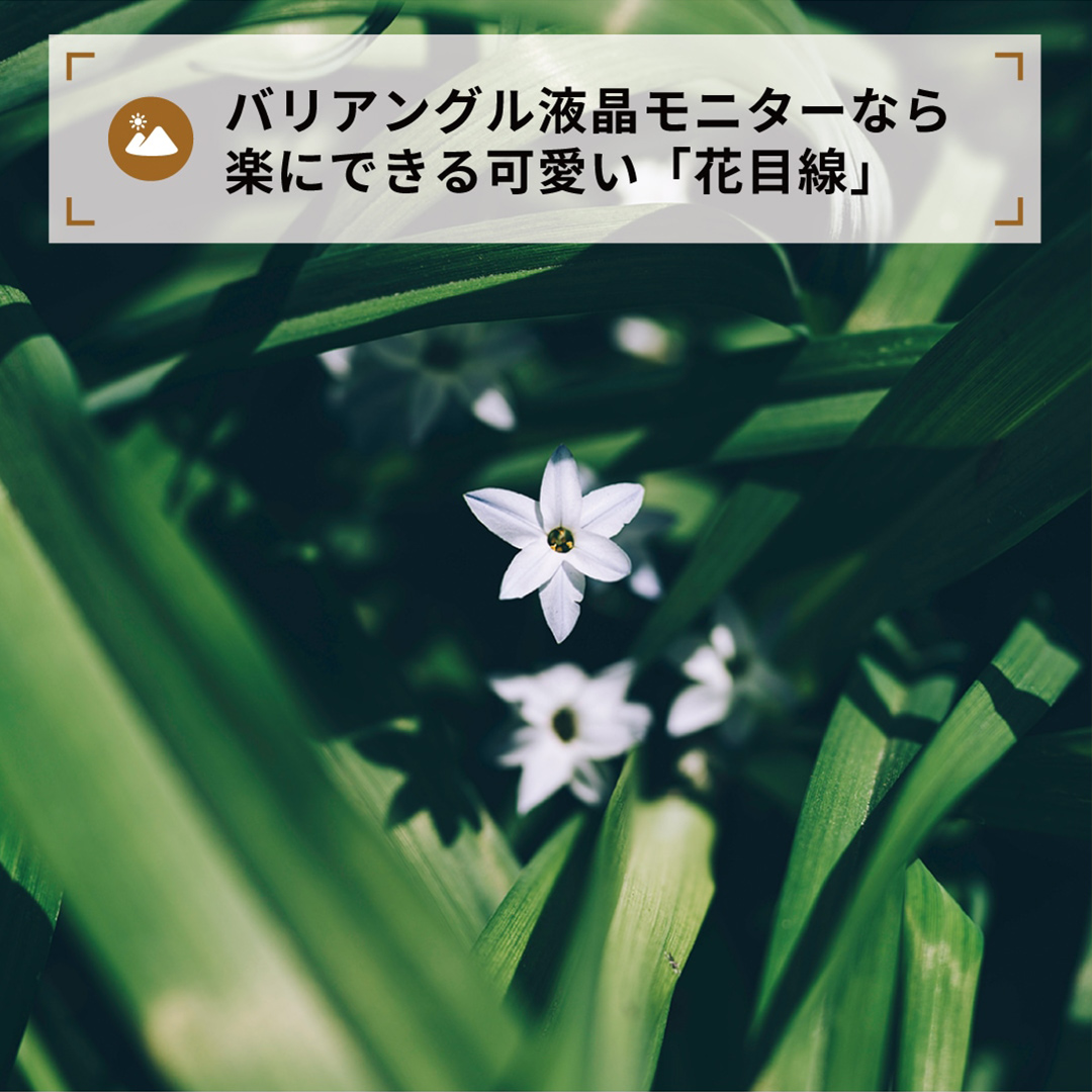 バリアングル液晶モニターなら
楽にできる可愛い「花目線」