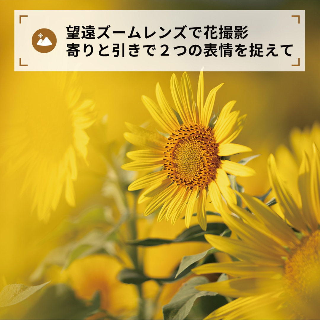 望遠ズームレンズで花撮影
寄りと引きで２つの表情を捉えて