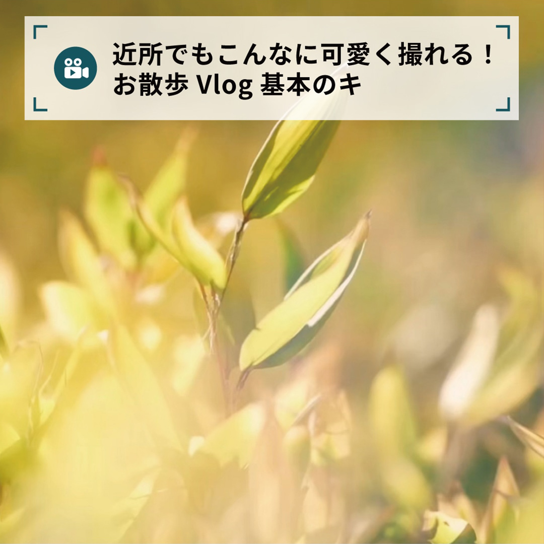 近所でもこんなに可愛く撮れる！
お散歩Vlog基本のキ