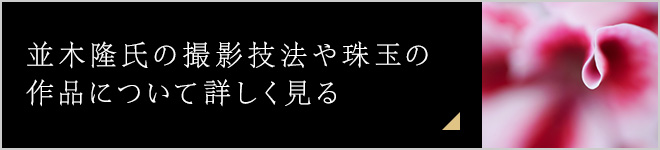 並木隆氏の撮影技法や珠玉の作品について詳しく見る