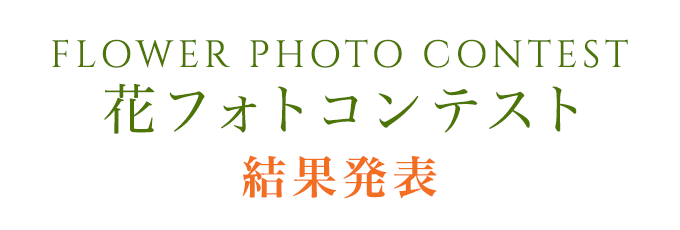 -FLOWER PHOTO CONTEST- 花フォトコンテスト結果発表