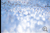 「Snow on the pond」ichigomilkさん[拡大する]