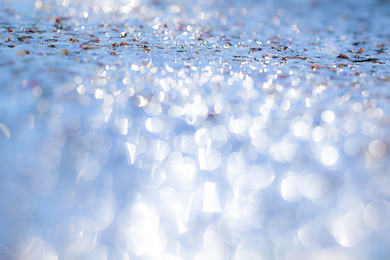 「キラキラ花筏」あずきさん