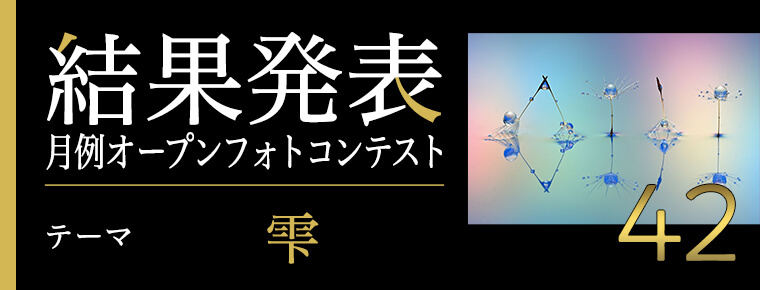 月例オープンフォトコンテスト第42回結果発表