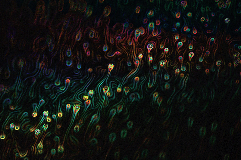 【入選】うごめく 写創さん