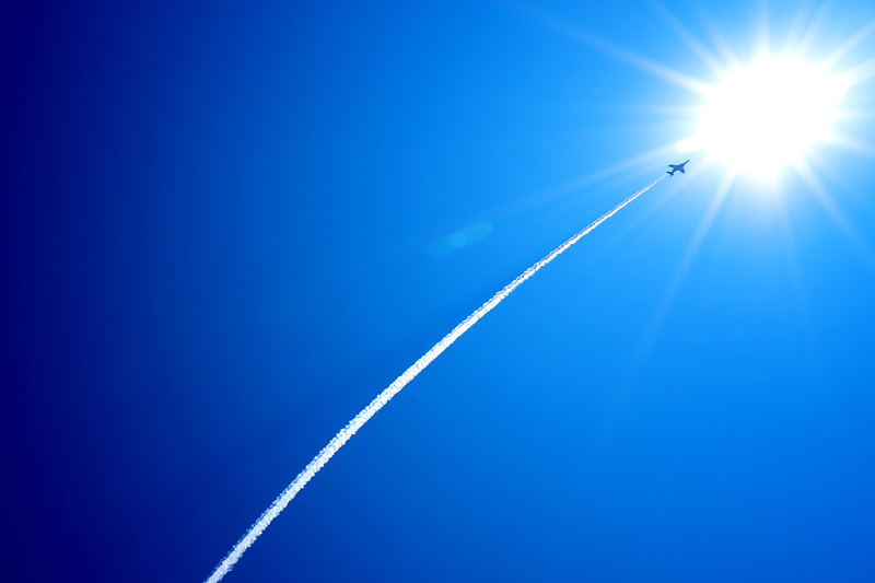 【入選】サンライズ マリンブルーさん