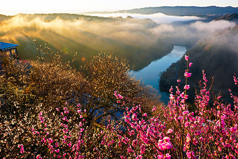【入選】夢の共演 BEAVERさん
