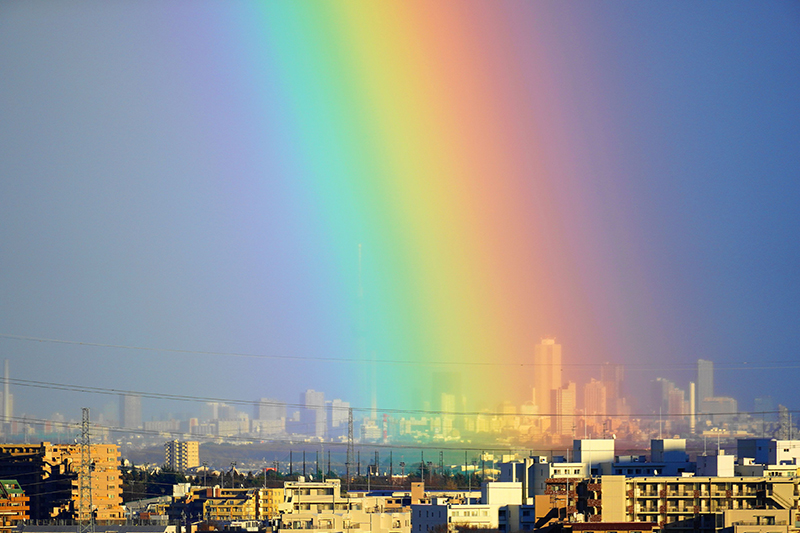 【入選】嵐が去って７色の虹が！！  忘れな草さん