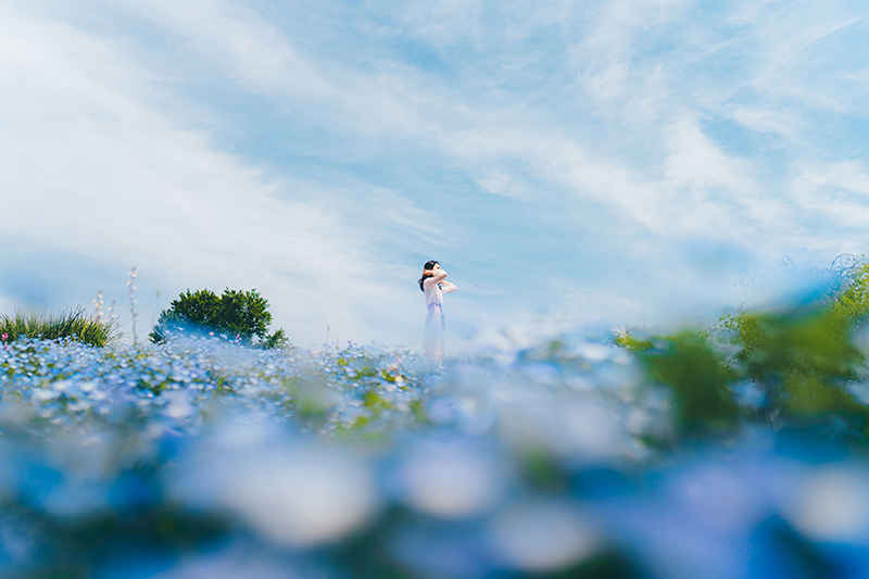 【入選】「視界に広がるは群青の世界」ykohi photoさん