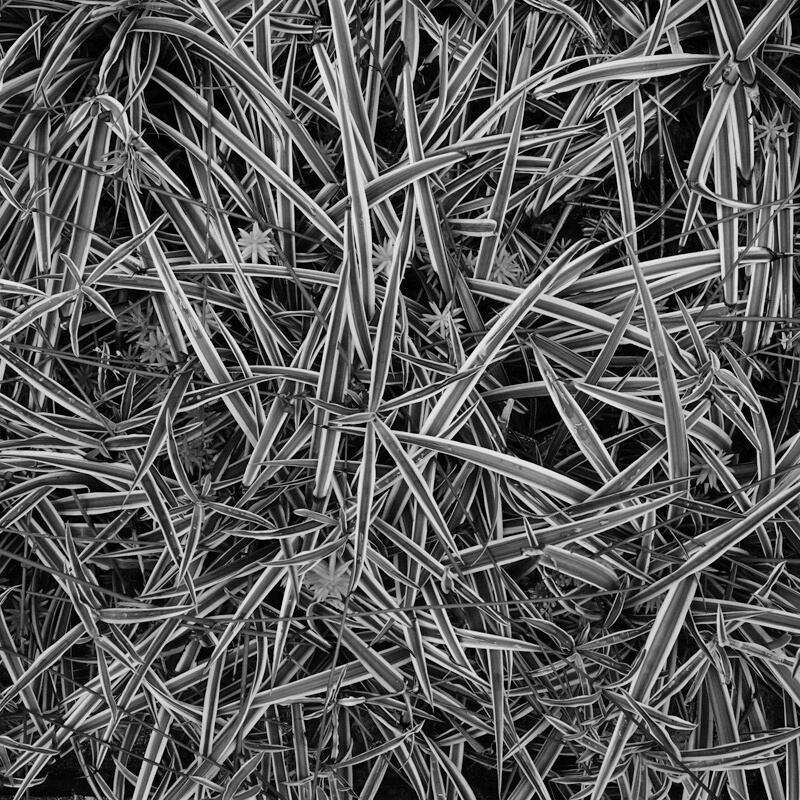 【最優秀賞】「white line」 どん山さん