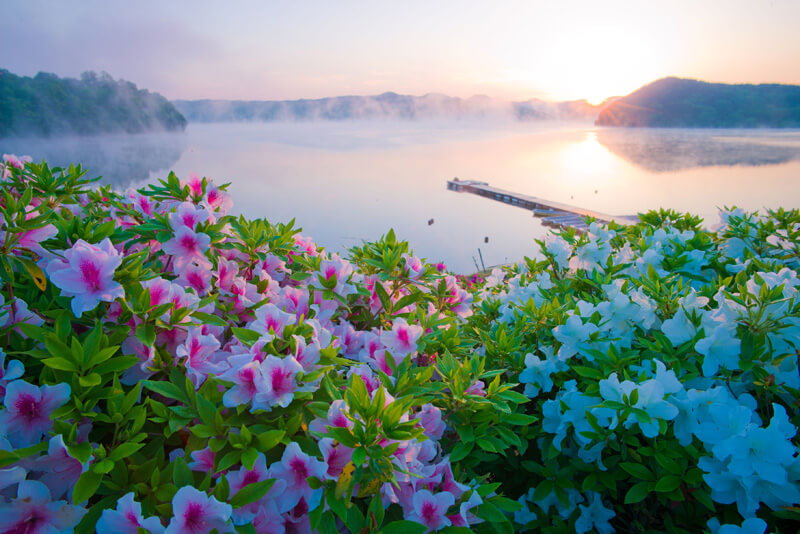 【優秀賞】「この時」 sumailu35さん