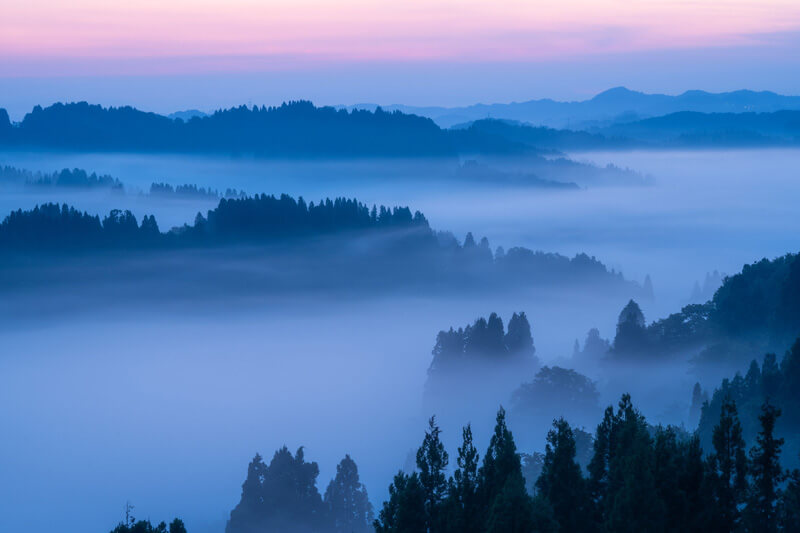 【入選】「やさしい霧」himeさん