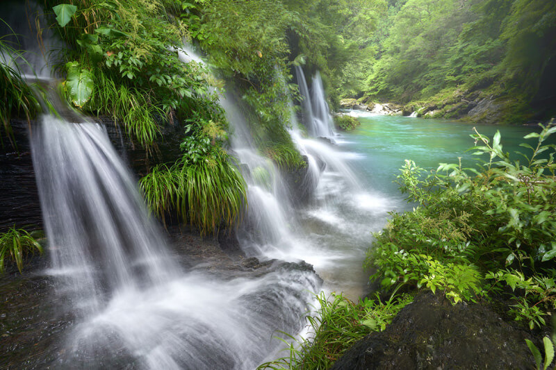【入選】「新緑の清流」たっぐさん