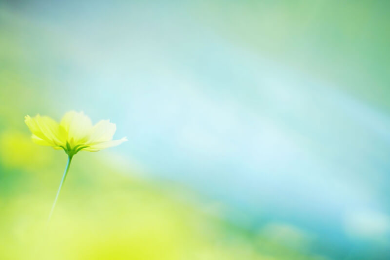 【入選】「春風そよふく」iceさん