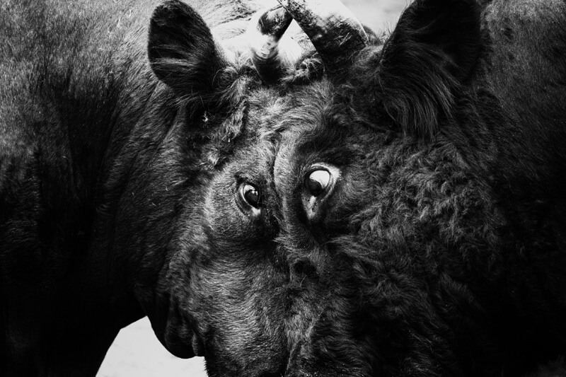 【入選】「今日はこれくらいにしとこか」甚四郎さん