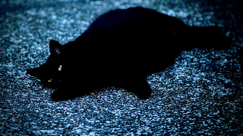 【入選】「スピリチュアルな瞬き」ポーリアンさん