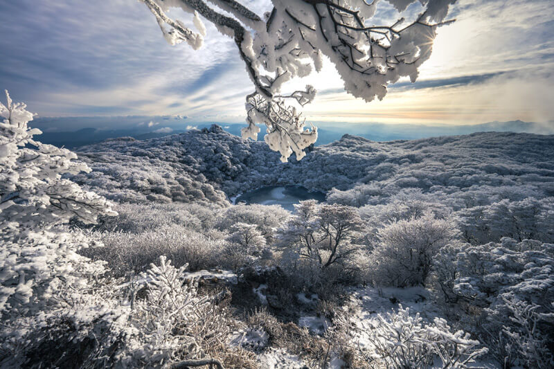 【優秀賞】「On ice」 はまやんさん