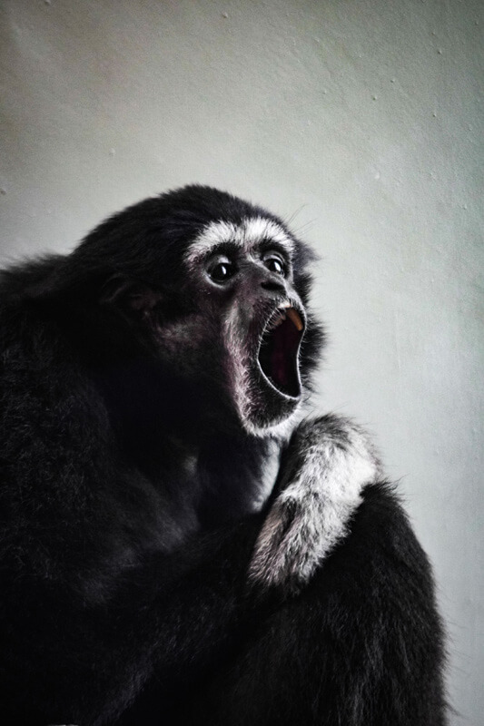 【入選】「Oh!!!」ゆうゆうさん