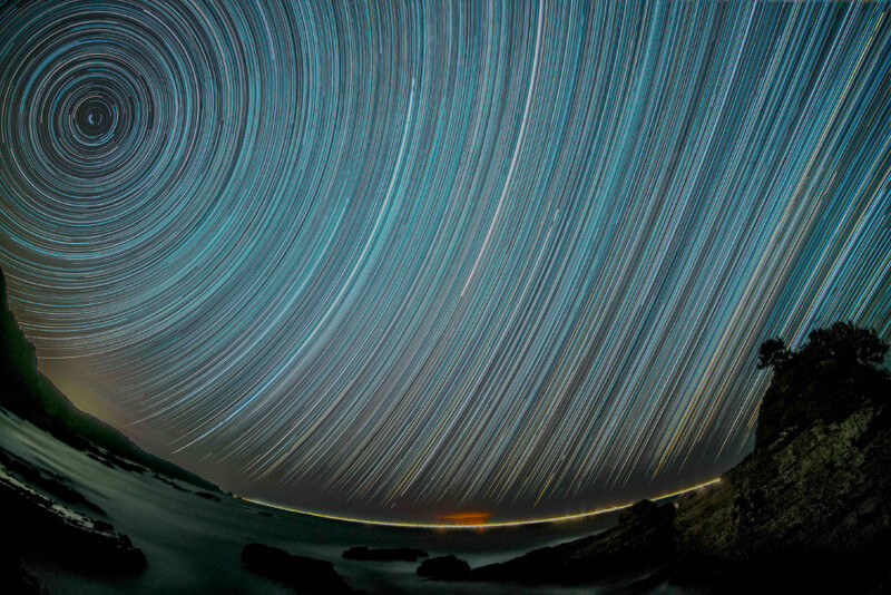 【入選】「南海のTornado」tamayaさん