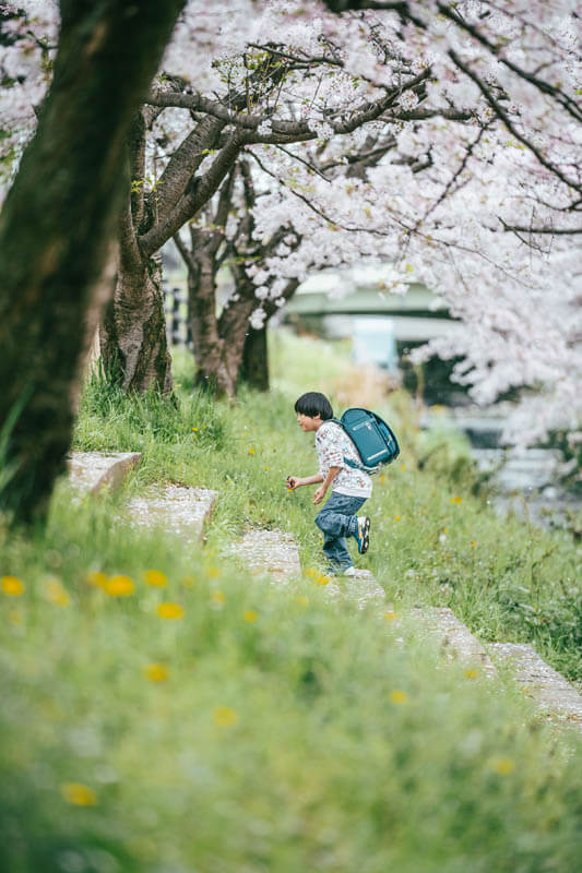 【優秀賞】「新1年生、芽吹きの春。」 よーへいさん