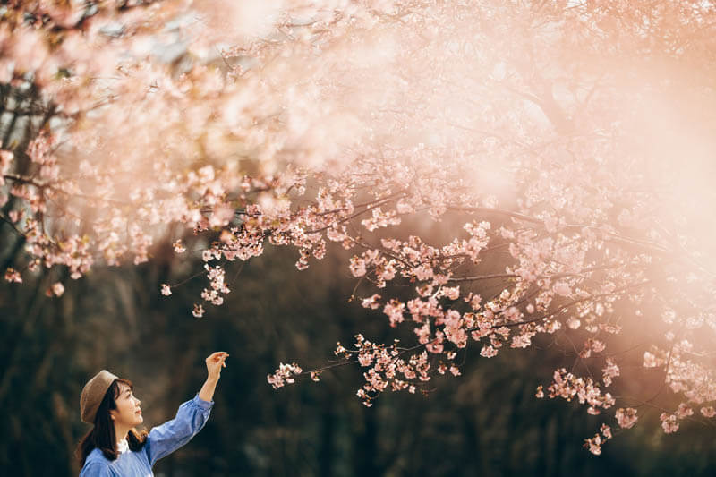 【入選】「春の芽吹き」Sakiさん