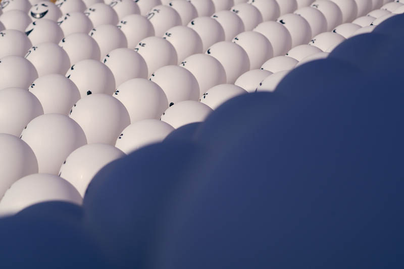 【優秀賞】「陽だまりに笑う」 Pudekinさん