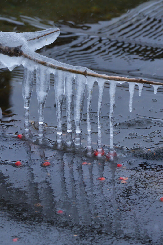 【優秀賞】「冬こその楽しみ」 satoさん