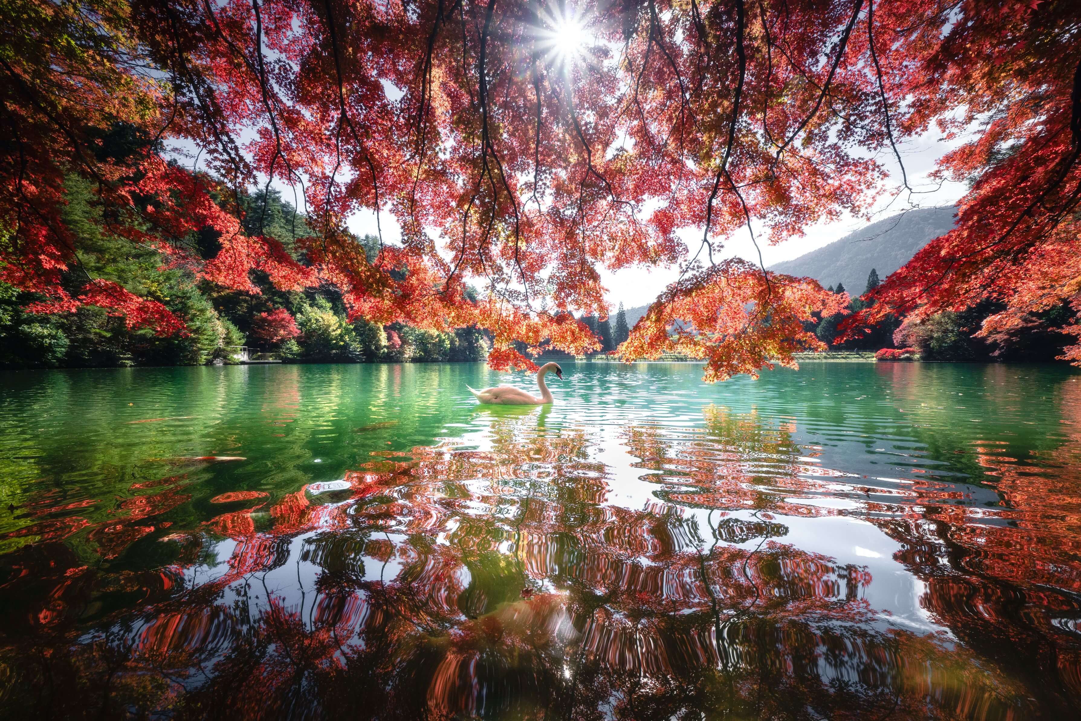 【優秀賞】「Autumn Runway」 oziromさん