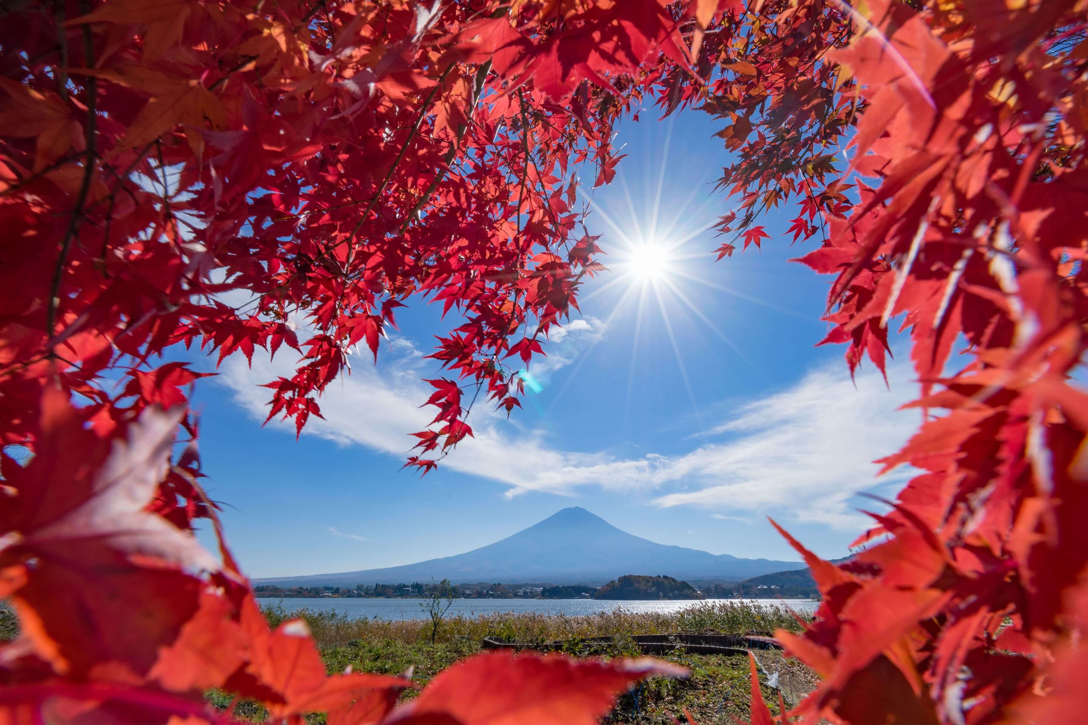【入選】「秋彩富士」 あずきさん
