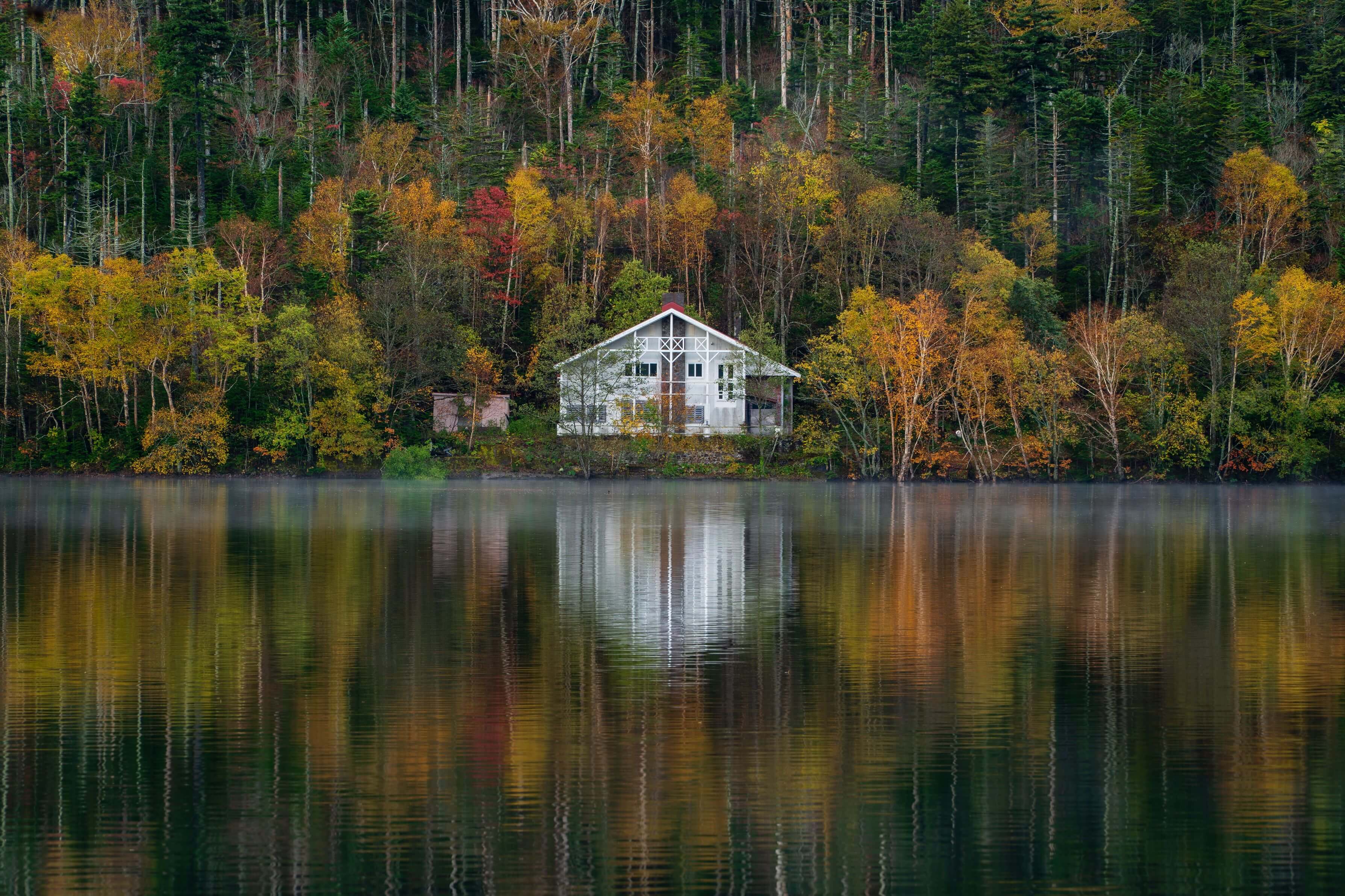 【入選】「秋映の白影」Kentaさん