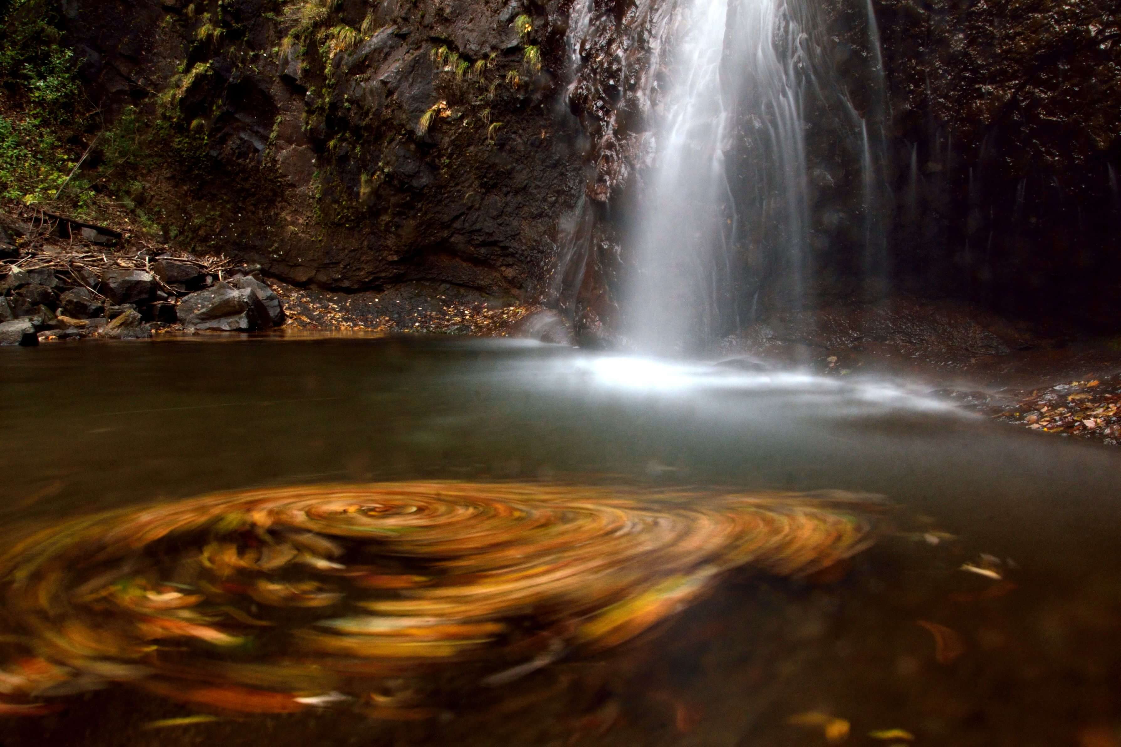 【入選】「紅葉の筏」野の鳥さん