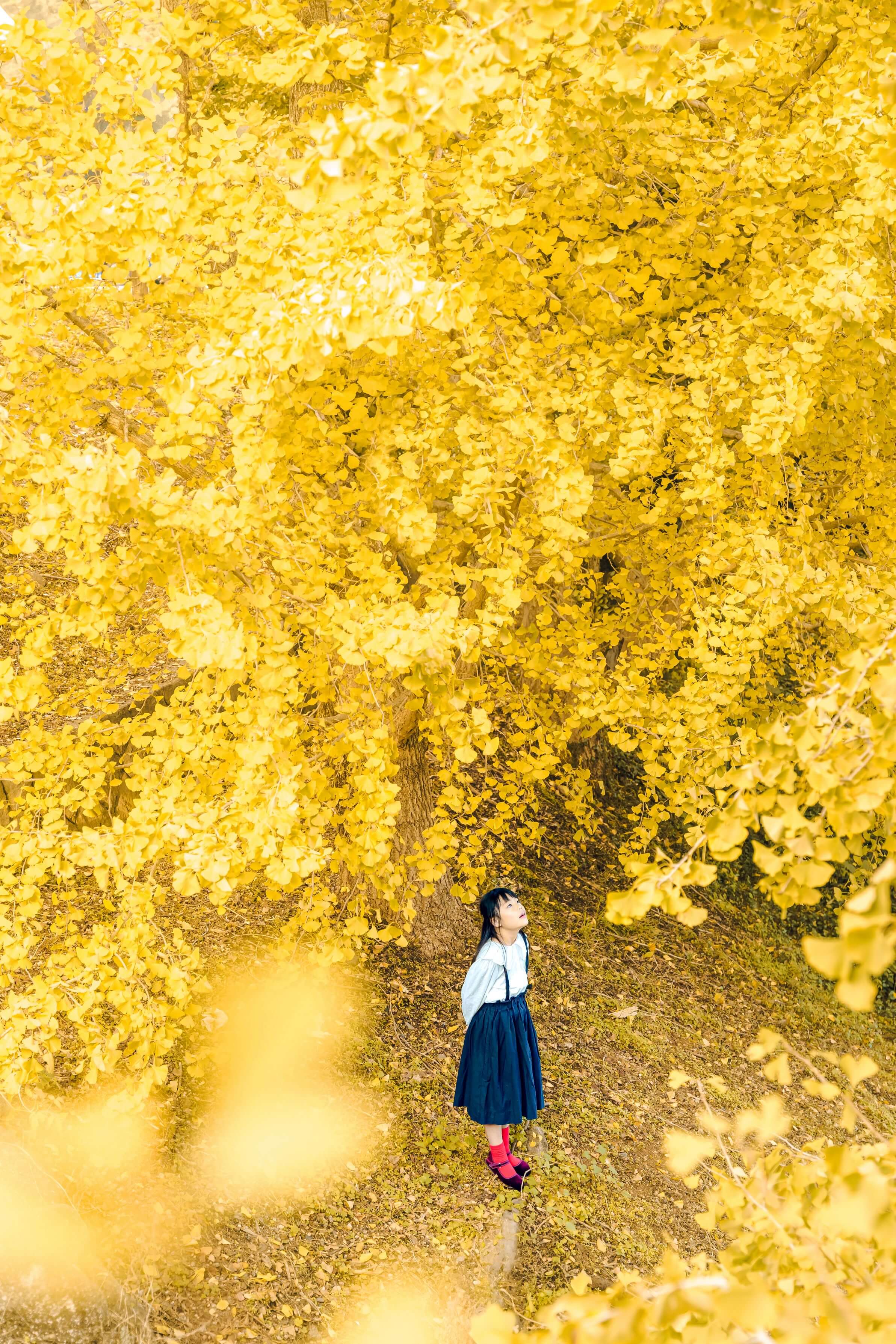 【入選】「雨宿り」Tomoさん