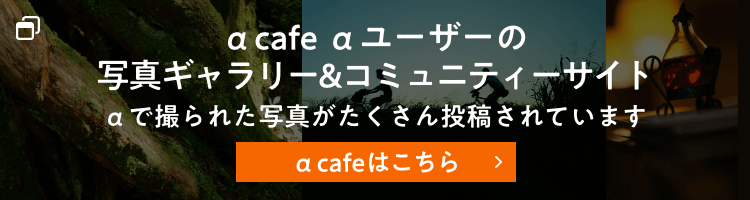 α cafe αユーザーの写真ギャラリー&コミュニティーサイト αで撮られた写真がたくさん投稿されています α cafeはこちら