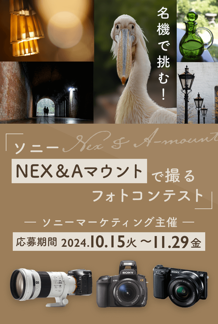 ソニー NEX&Aマウントで撮るフォトコンテスト [ソニーマーケティング主催] 応募期間 2024.10.15 火 ~ 11.29 金