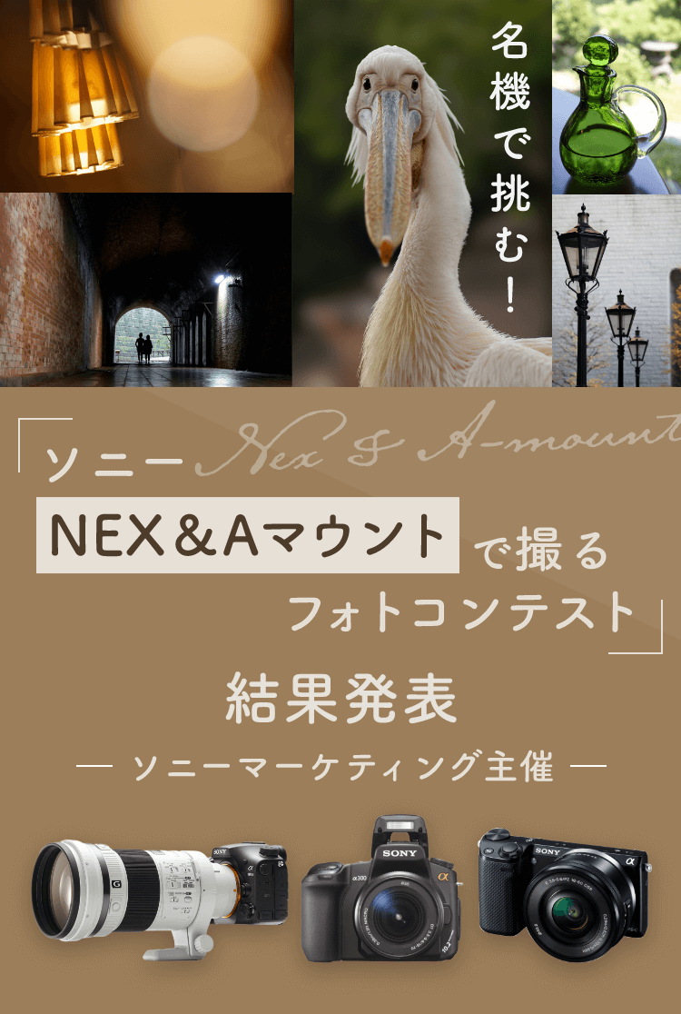 ソニー NEX&Aマウントで撮るフォトコンテスト 結果発表 ソニーマーケティング主催