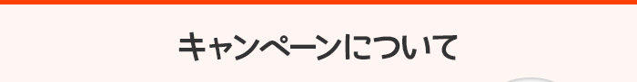 キャンペーンについて