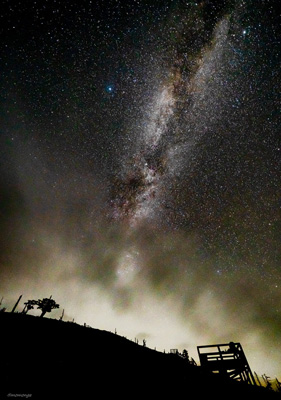 作品名「ヴェールの彼方から」