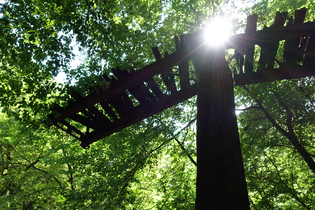 夏の遠山森林鉄道北又沢線跡 神の石の橋
