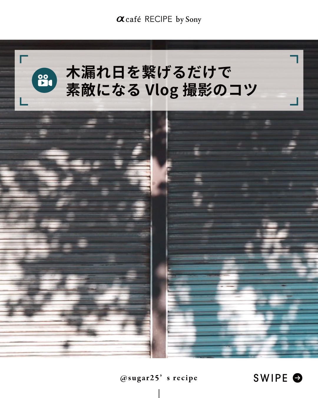 木漏れ日を繋げるだけで素敵になるVlog撮影のコツ