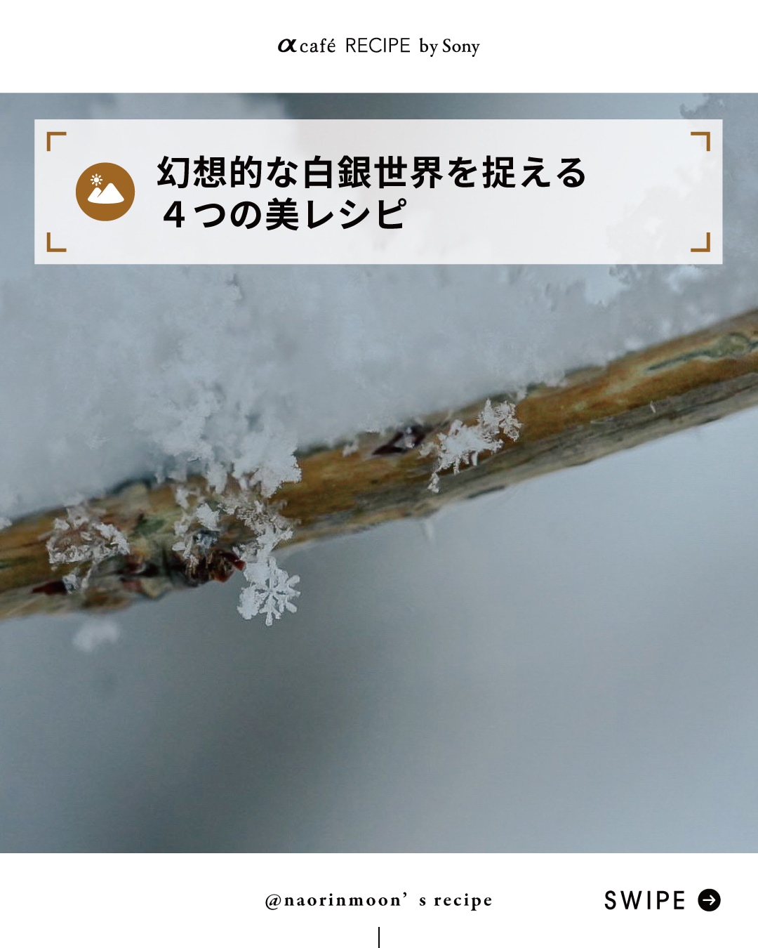 幻想的な白銀世界を捉える４つの美レシピ