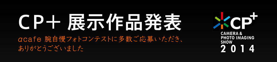 ＣＰ＋展示作品発表｜αcafe 腕自慢フォトコンテストに多数ご応募いただき、ありがとうございました