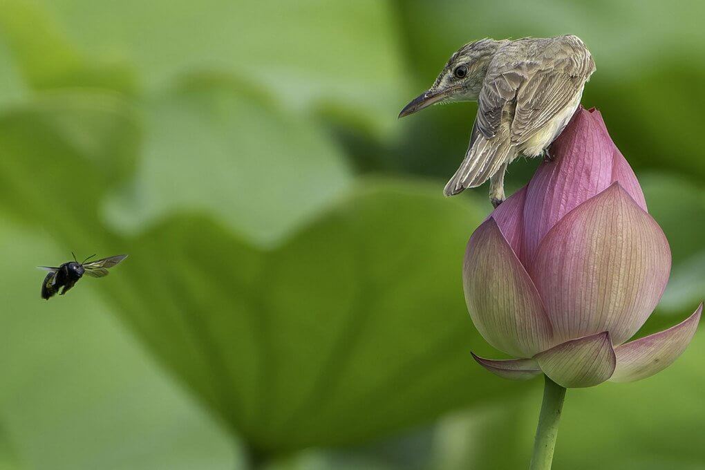 『ロックオン！』osanpo_life