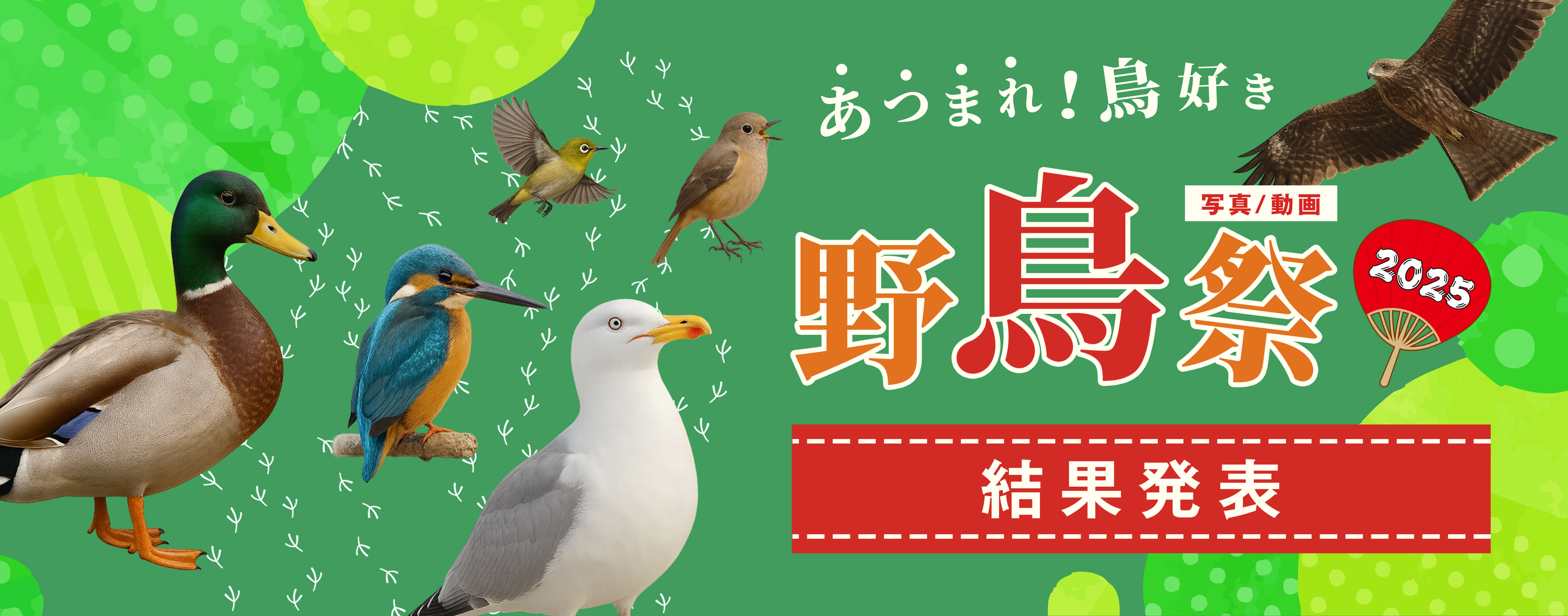 『αcafe あつまれ！鳥好き 野鳥祭2025 結果発表』のキービジュアル画像