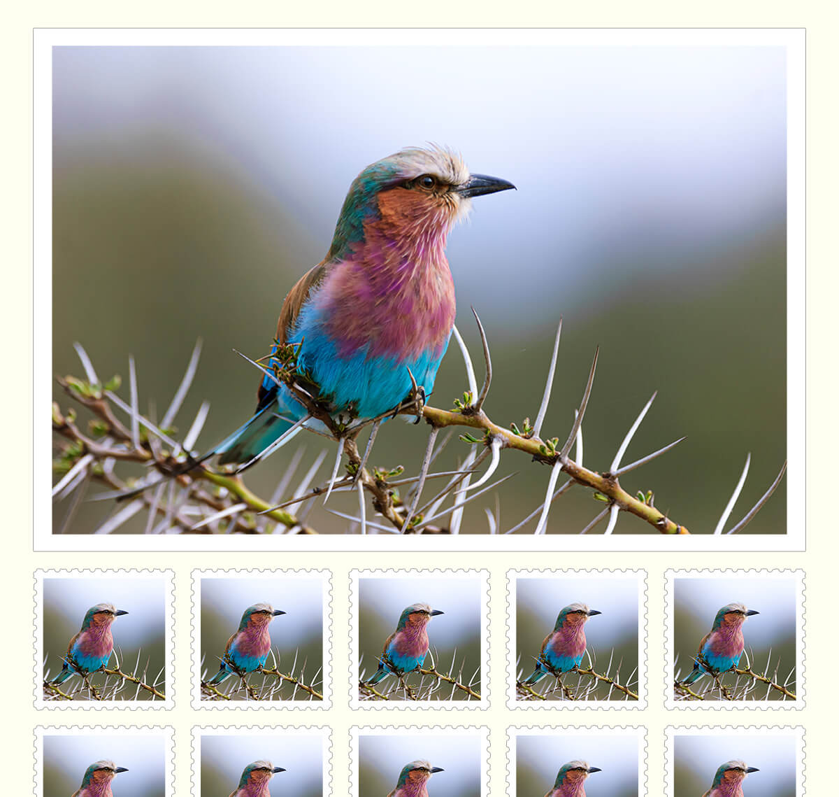 オリジナル切手シートの画像