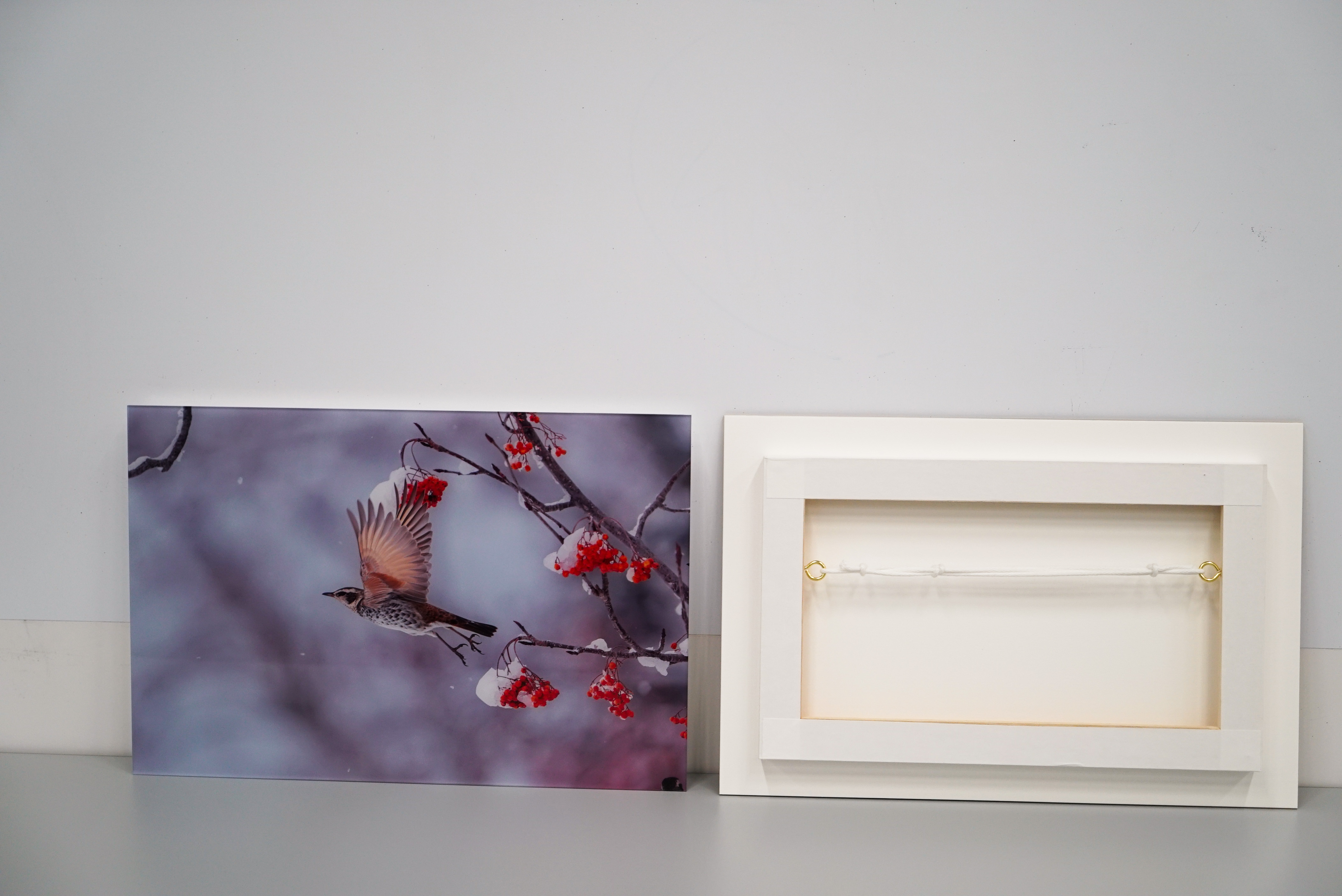 入賞作品の写真パネル(A3サイズ相当)の画像